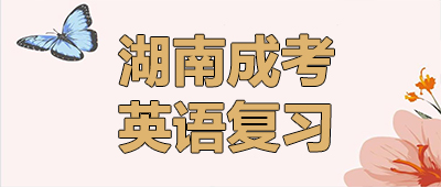 湖南成考英語