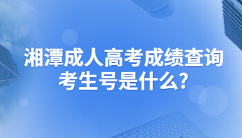 湘潭成人高考成績(jī)查詢考生號(hào)是什么?
