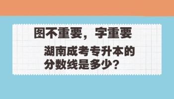 湖南成考 湖南成考分?jǐn)?shù)線