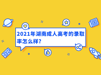 湖南成考 湖南成考錄取率