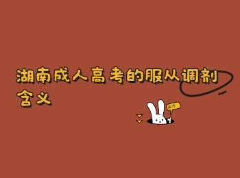 湖南成考服從調劑含義